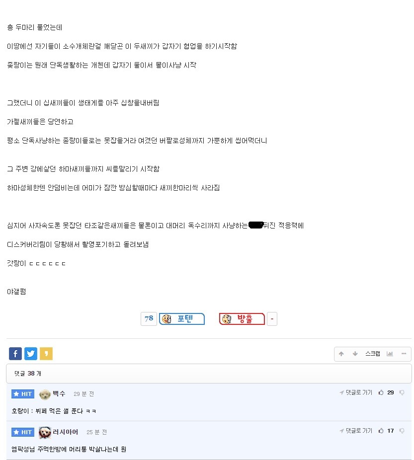 아프리카 대륙에 호랑이 두마리를 풀어놓은 결과 ㄷㄷㄷㄷㄷ.gif | 인스티즈