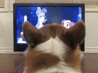 디즈니 강아지 키스신을 보는 웰시코기.gif | 인스티즈