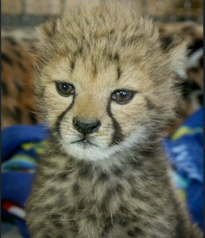 아이라인의 중요성 | 인스티즈