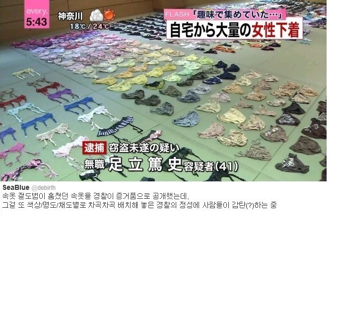 배*열 이미지