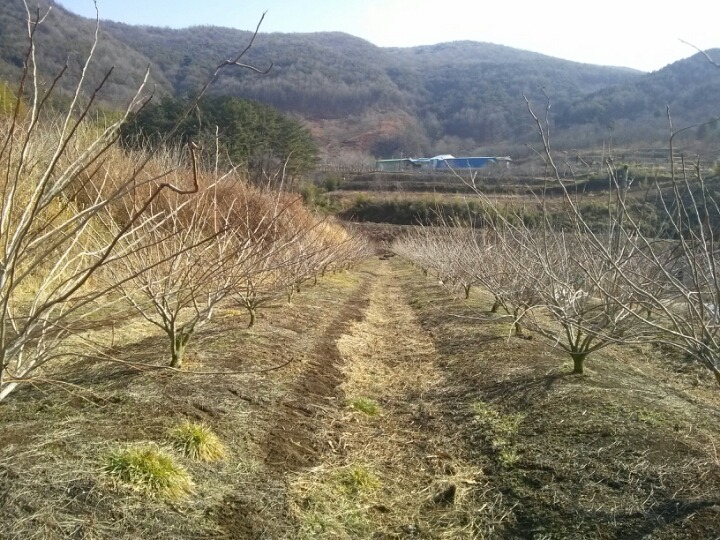 하동산초농장 이미지