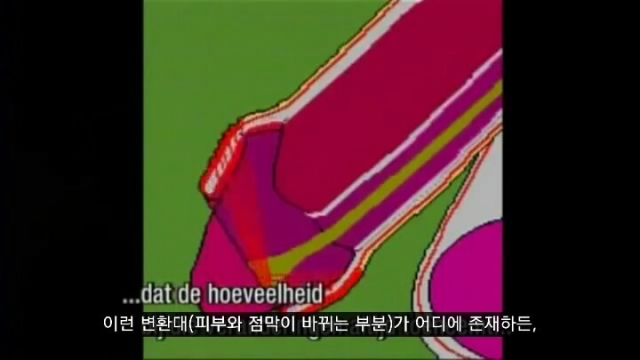 포경수술을 반대하는 의사들이 말하는 포경수술의 진실 | 인스티즈