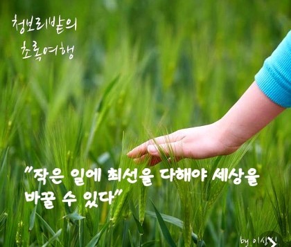 이다1 이미지