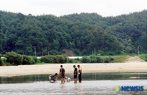 실종된 주인의 시신을 찾은 진돗개 | 인스티즈