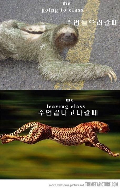 공감 이미지