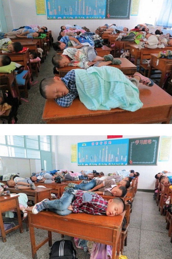 대륙의 초등학교 | 인스티즈