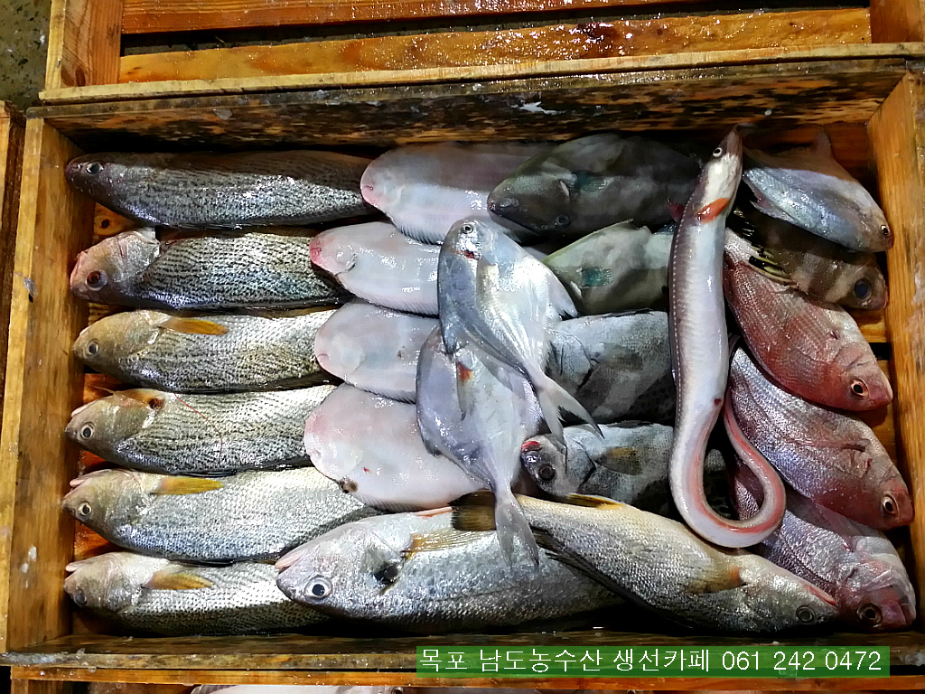 금당롯지 이미지