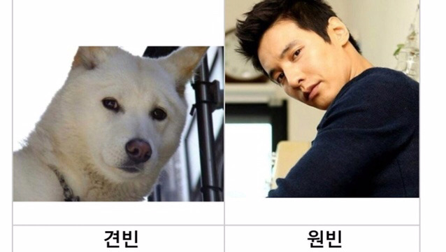 동물 미남 쓰리탑 | 인스티즈