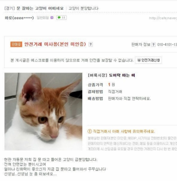 문 잘따는 고양이 어떠세요 | 인스티즈