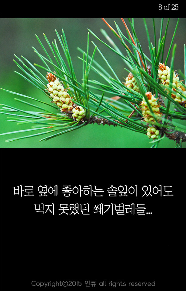 응원받아 마땅한 사람들 | 인스티즈