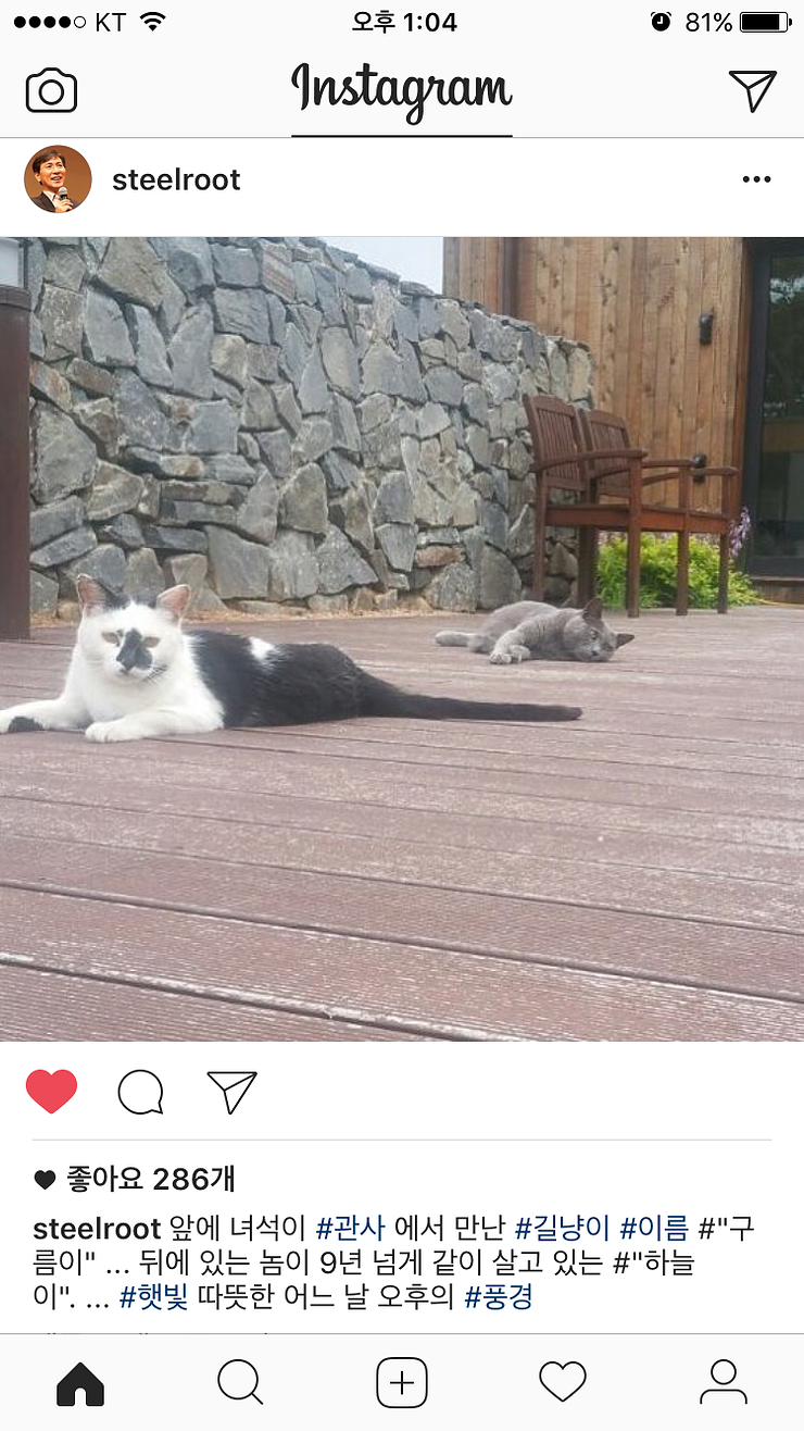 냥집사들 🐱 (사진 엄청많음 주의) | 인스티즈