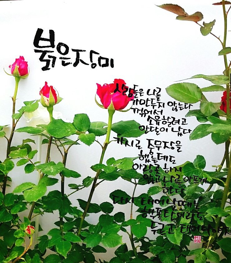 기분좋은하루 이미지