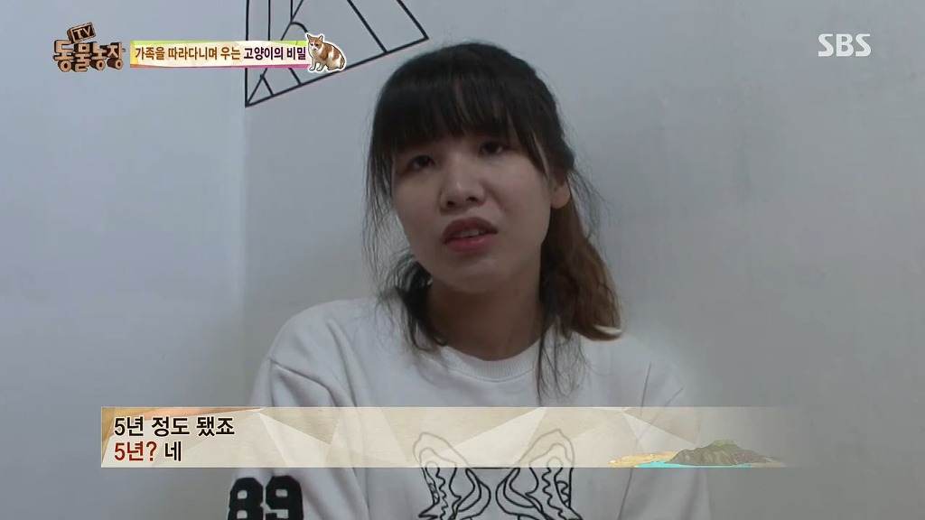 [동물농장] 존트 할말 다 하고 사는 수다쟁이 고양이 쪼롱이ㅋㅋㅋㅋ.jpg | 인스티즈