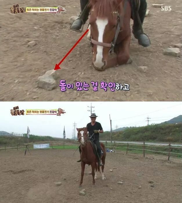 말도 안되는 말 | 인스티즈