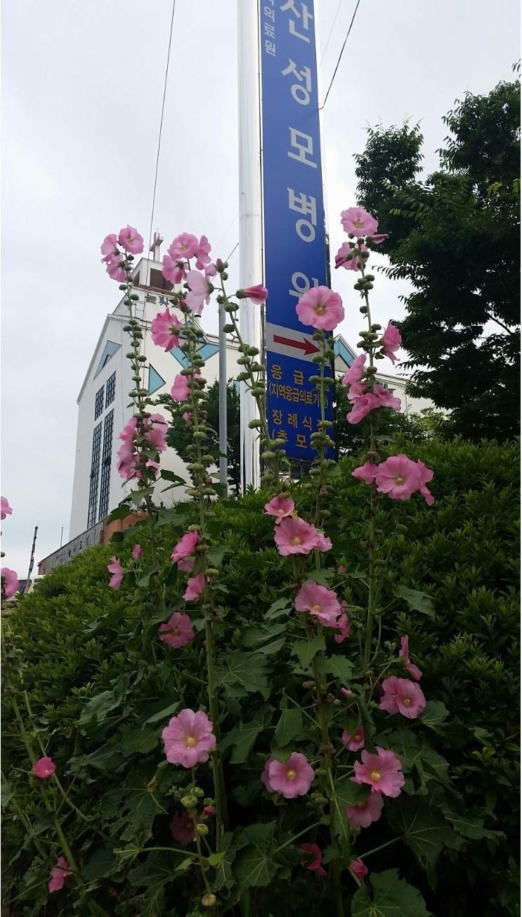 승우청소 이미지
