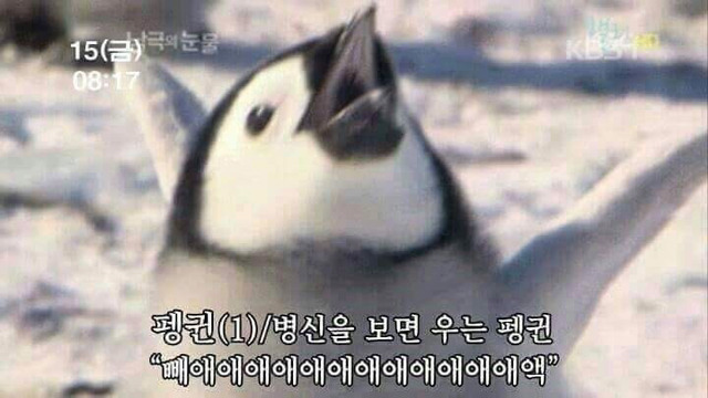 글추가합니다)서른 넘고도 철없는 48차원 여자친구+댓글들 | 인스티즈