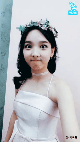 트와이스) 하루사이에 4번째 v앱 -나연,다현,쯔위 | 인스티즈