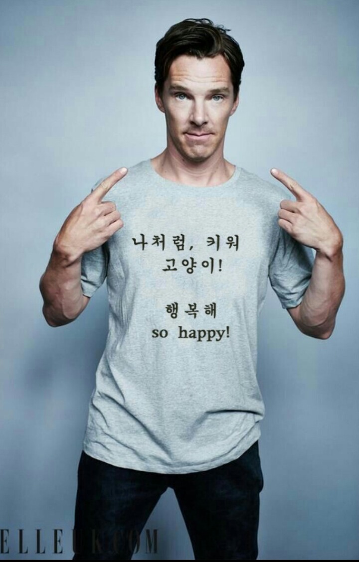 혹시 가다가 제 고양이 본적없으세요??ㅠ ㅠㅠㅠ | 인스티즈