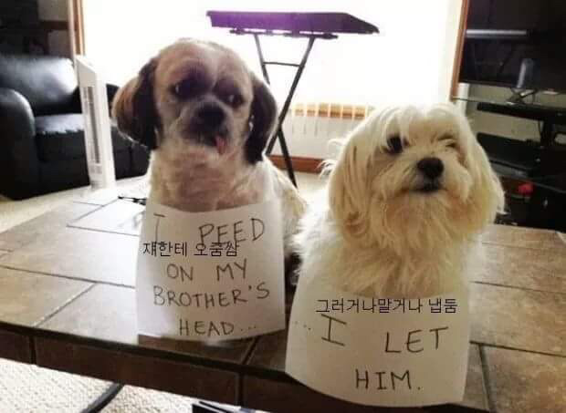 무지개똥 이미지