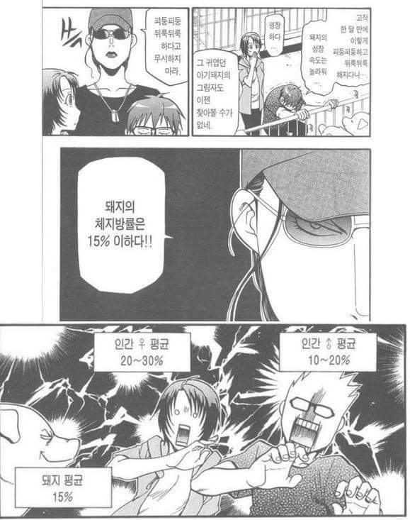 사람한테 돼지라고 하면 안되는 이유 | 인스티즈