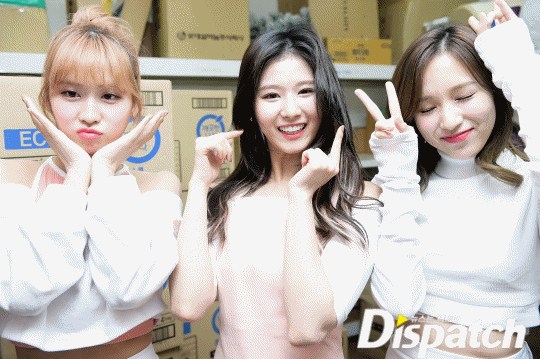 1116 오늘자 트와이스 디스패치 미친사진수준 (스왑 데이터주의) | 인스티즈