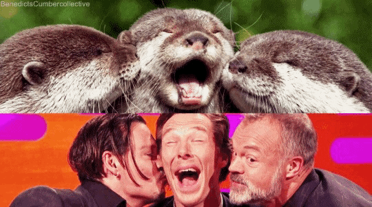 수달 따라하는 베네딕트 컴버배치.gif | 인스티즈