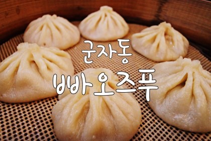 빠오즈푸 이미지
