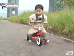 강냉이 두 개 보유하고 있던 시절 만세 -ㅅ- (모태비글냄새) | 인스티즈
