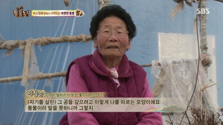 [동물농장] 할머니와 발바리의 따뜻한 우정 | 인스티즈
