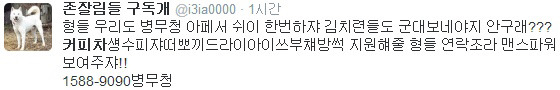 군무새_패는_개.twt | 인스티즈