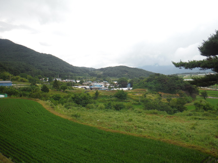 지리산향기 이미지
