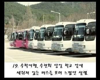 학창시절 졸업하면 다신 느낄수없는것들 | 인스티즈