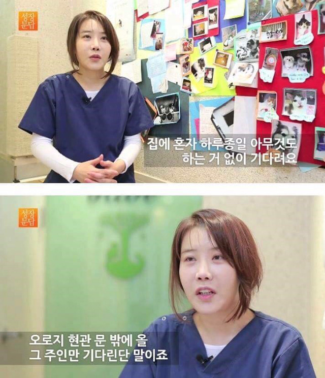 동물을 좋아하는 사람이 동물을 버린단 말이에요 | 인스티즈