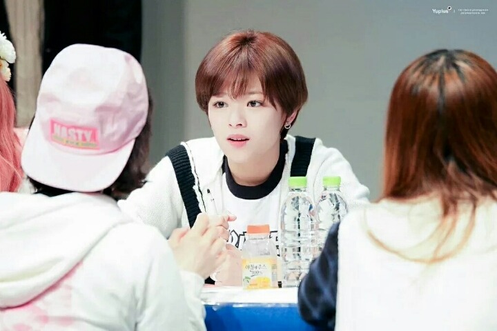 트와이스 사나랑 정연이 | 인스티즈