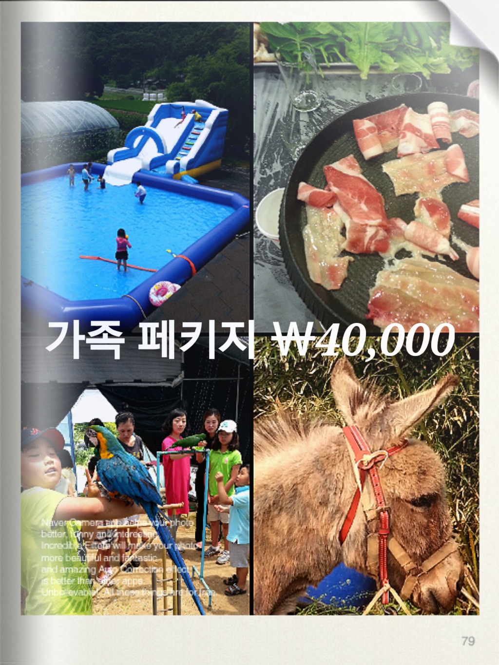 냉산친환경체험농장 이미지