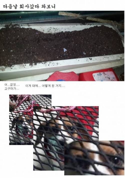 생명의 신비 | 인스티즈