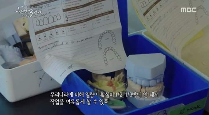 한국 사람들이 캐나다로 가는 이유 | 인스티즈