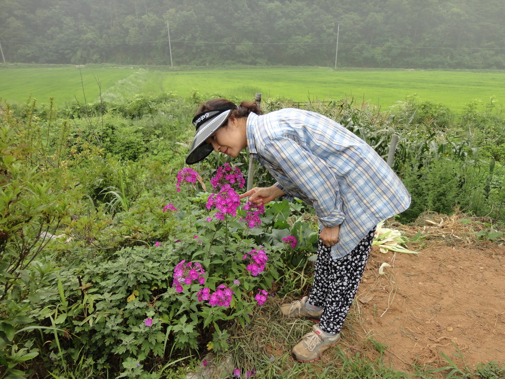 (주)호성 이미지