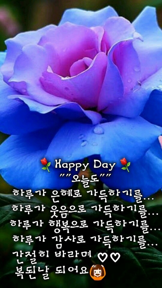 멋진하루 이미지
