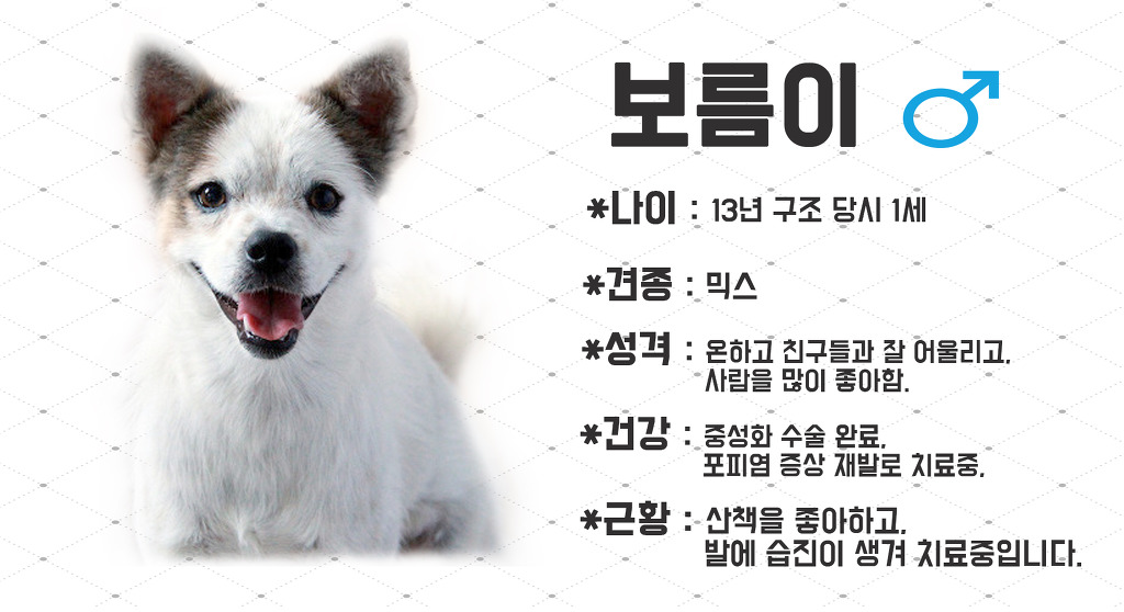 보름 이미지