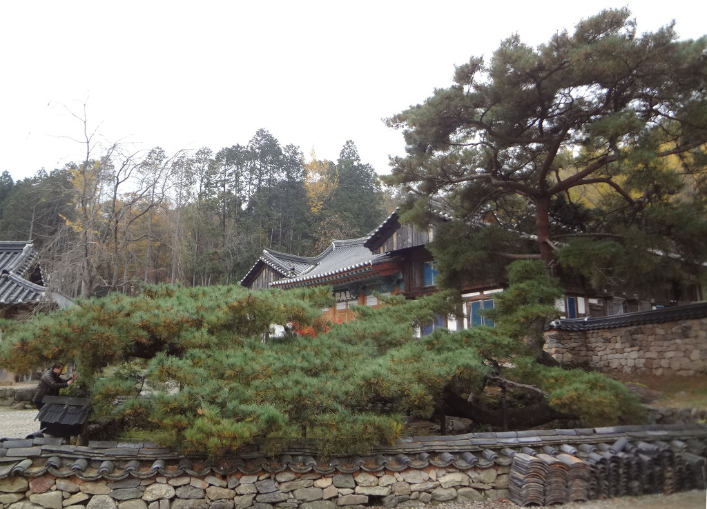 선암사 이미지