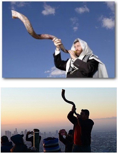 뿔 만지면 안되는 이유 ㅋㅋㅋ | 인스티즈