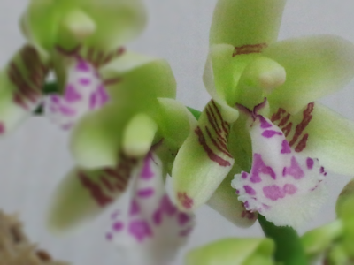 꿈이란 이룰 수 없다고 꿈이라 말하지만 | 인스티즈