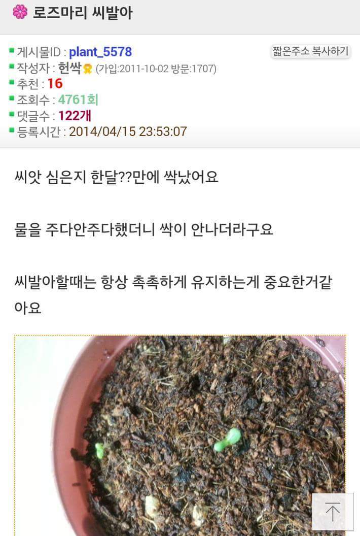 로즈마리 아 | 인스티즈