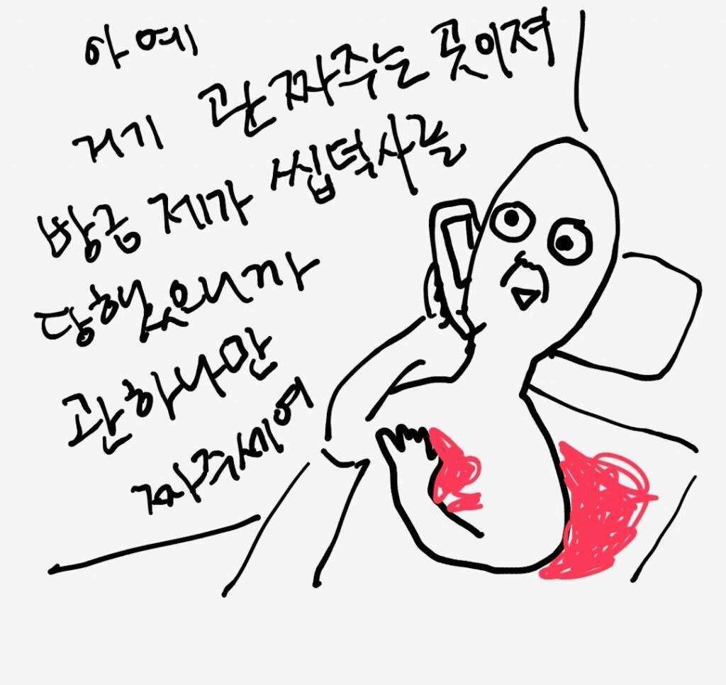 새끼 고양이와 올빼미.JPG | 인스티즈