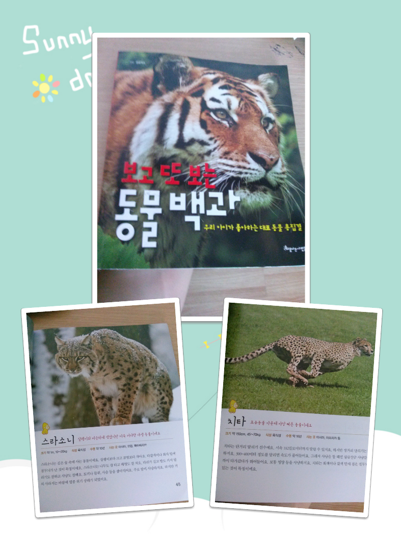 또보니 이미지