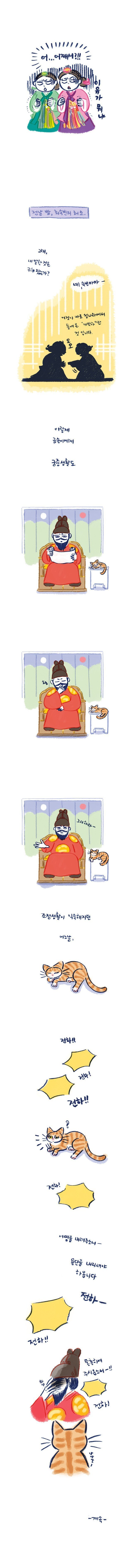 임금님의 고양이 | 인스티즈