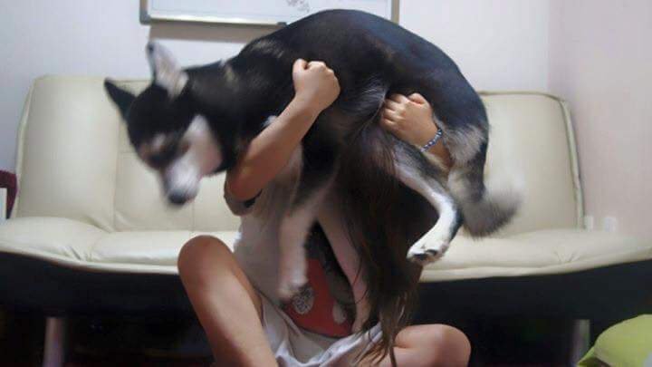 고양이 모자가 부러웠던 여자 | 인스티즈