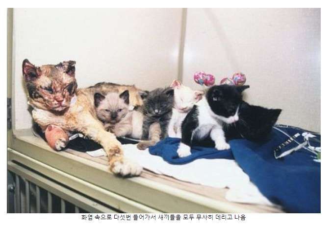 엄마는 위대하다 | 인스티즈