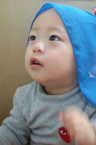 깍까머리 이미지